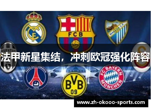 法甲新星集结,冲刺欧冠强化阵容 法甲新星集结,冲刺欧冠强化阵容